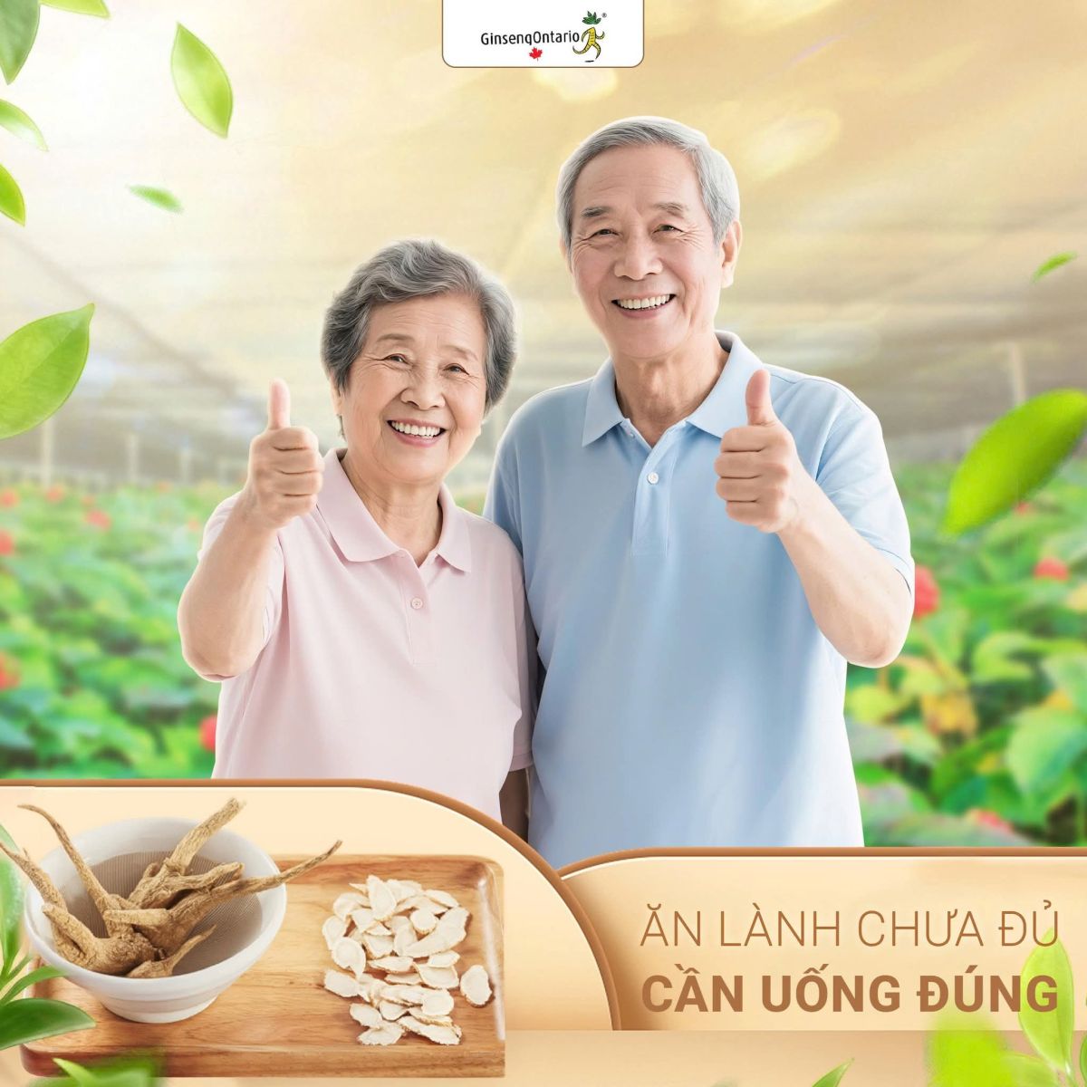 sản phẩm nhân sâm Canada